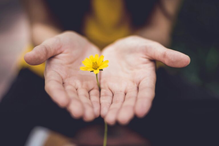 Yellow daisy between two hands representing anxiety help, healing, and emotional support